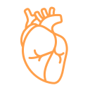 Ser3